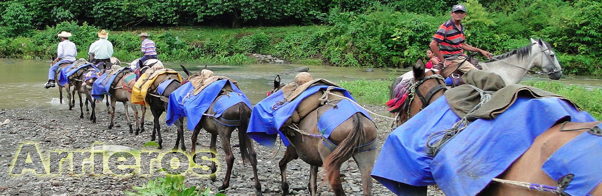  National Event Of Mule Drivers, Buey Arriba, Granma, Cuba Travel